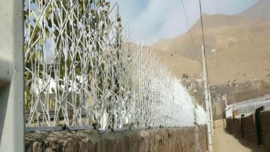 نرده شاخ گوزنی در لواسان
