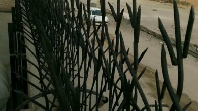 نرده شاخ گوزنی در گنبدکاووس