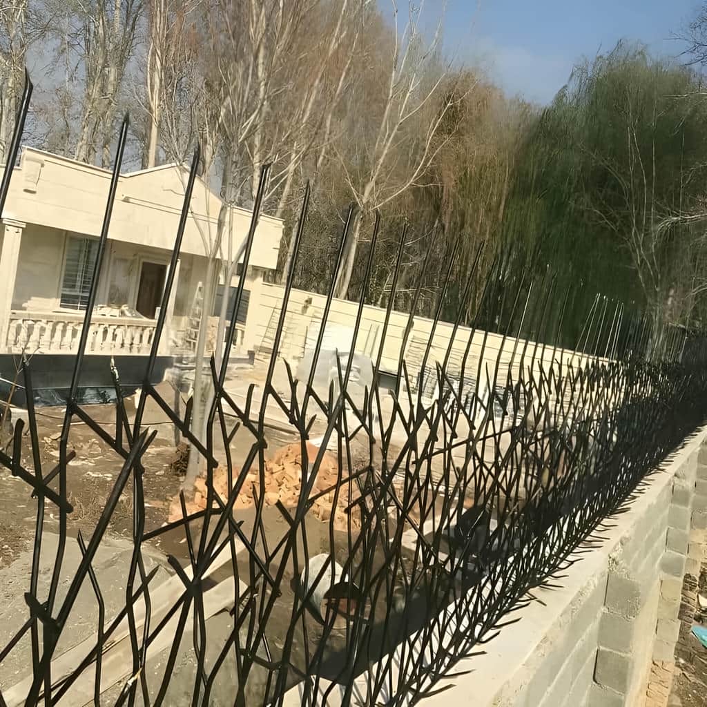 حفاظ شاخ گوزنی خاردار با شاسی محکم تاج دیوار