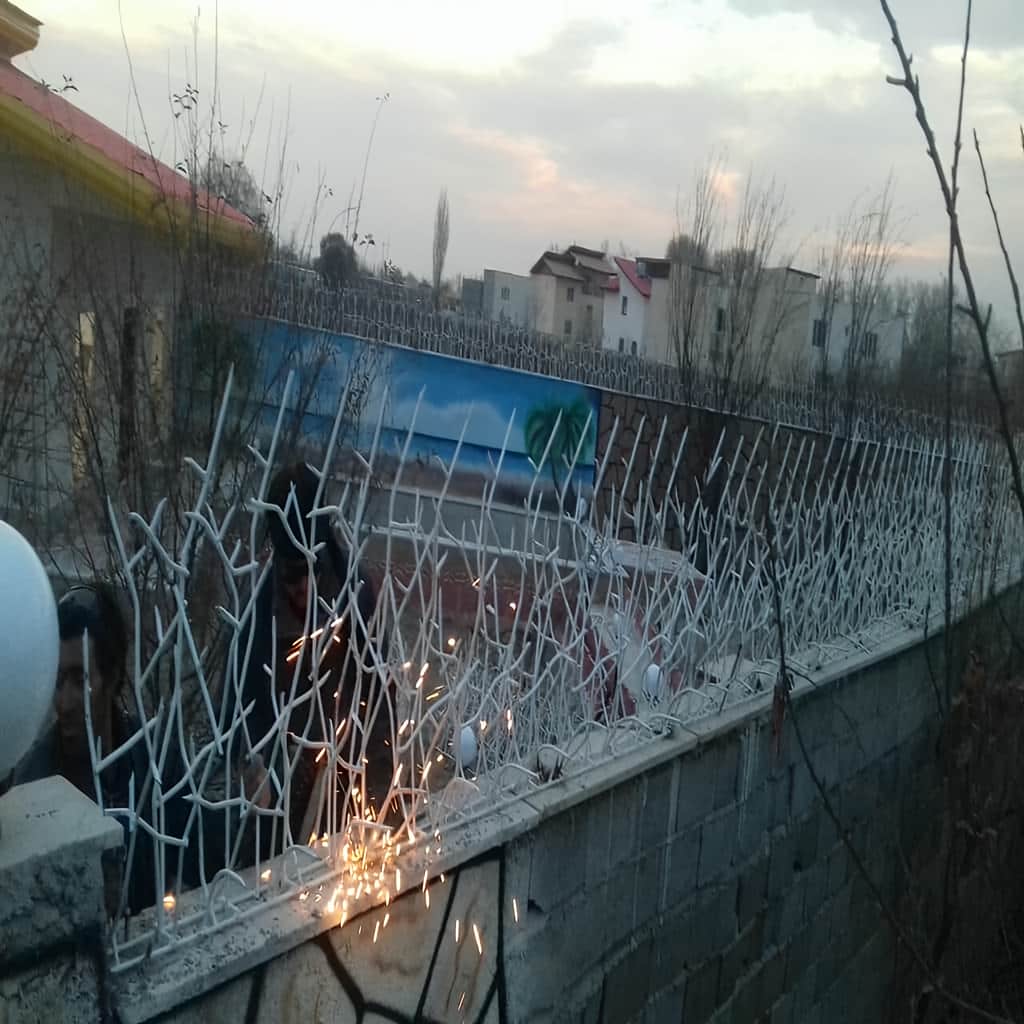حفاظ شاخ گوزنی خاردار با نصب اصولی روی دیوار