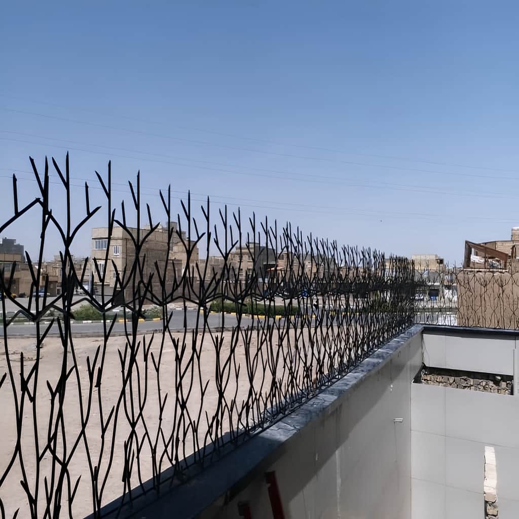 حفاظ شاخ گوزنی خاردار با جوشکاری تمیز اتصالات
