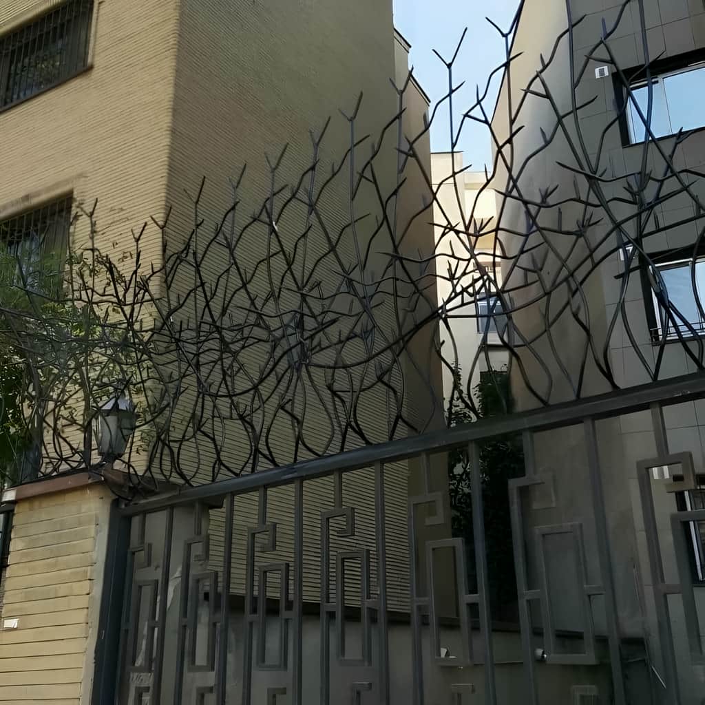 حفاظ شاخ گوزنی با نصب محکم روی دیوار