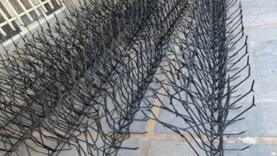 مزیت های حفاظ شاخ گوزنی در امنیت ساختمان و ویلا
