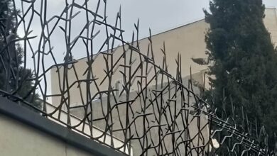 حفاظ شاخ گوزنی خاردار برای دیوارهای ایمن