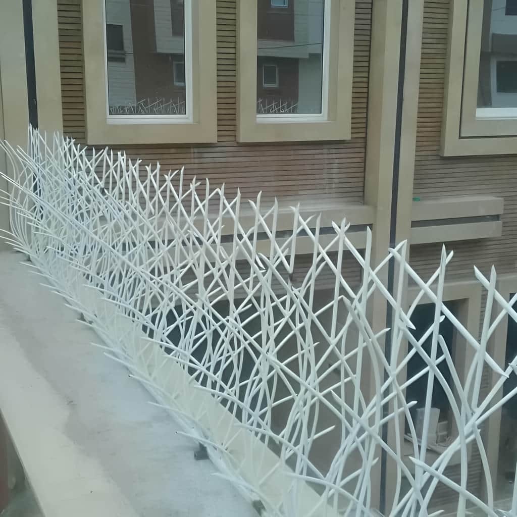 13 نمونه حفاظ نیزار دیوار باغ