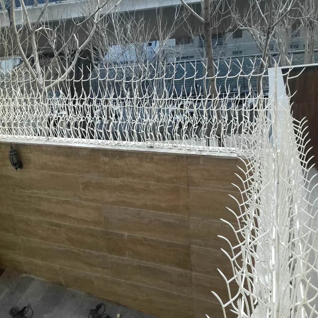 حفاظ بوته ای مناسب اجرای تخصصی پروژه بازسازی