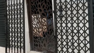 حفاظ ضربدری آکاردئونی فلزی برای ورودی قدیمی