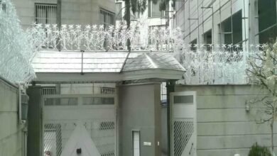 حفاظ نخل مرداب فلزی با شاخه های منحنی